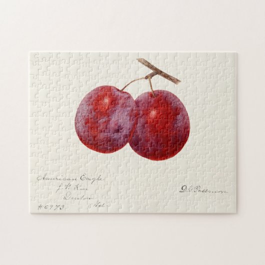 プラム(Prunus Domestica)果実水色絵画の ジグソーパズル (横)