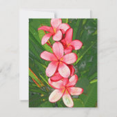 プラメリアスピンク ノートカード (正面)