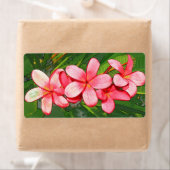 プラメリアスピンク ラベル (インサイチュ)