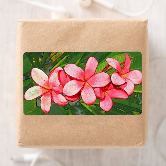 プラメリアスピンク ラベル (インサイチュ)