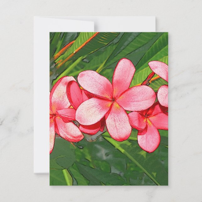 プラメリア (正面)