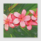 プラメリア (正面)