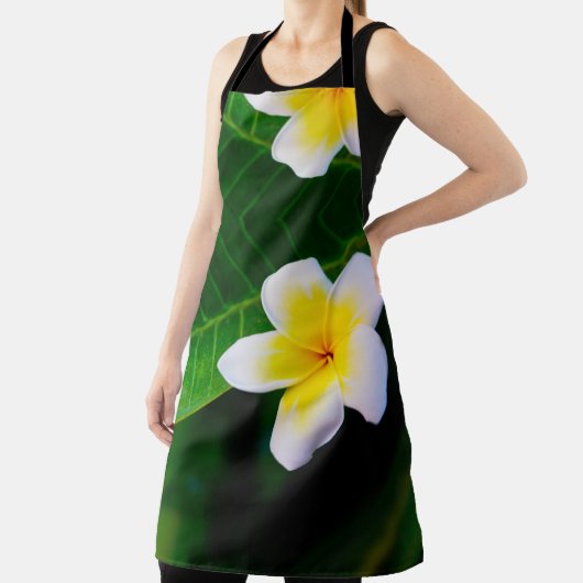 プラメリア エプロン (インサイチュ)