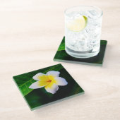 プラメリア ガラスコースター (アングル)