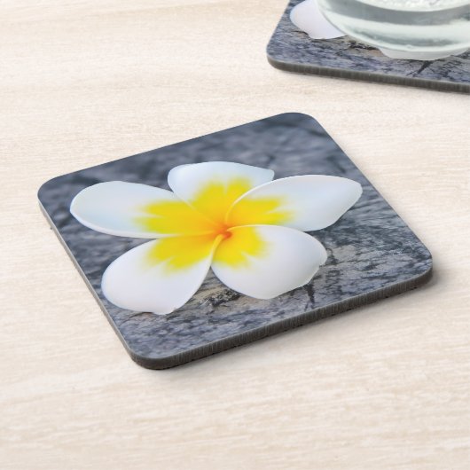 プラメリア コースター (左側)