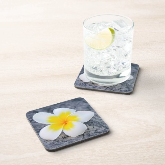 プラメリア コースター (右側)