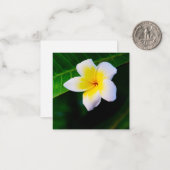 プラメリア ノートカード (正面/裏面インサイチュ)