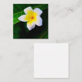 プラメリア ノートカード (正面/裏面)