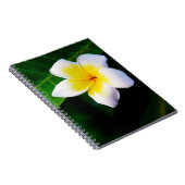 プラメリア ノートブック (右側)