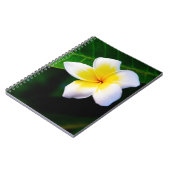 プラメリア ノートブック (左側)