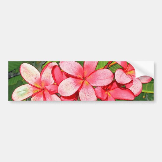 プラメリア バンパーステッカー (正面)