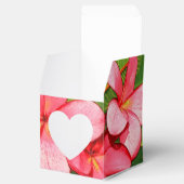 プラメリア フェイバーボックス (オープン)