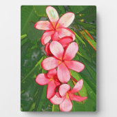 プラメリア フォトプラーク (正面)