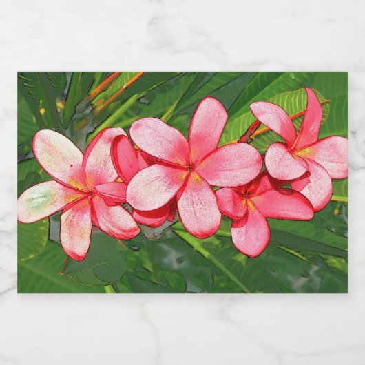 プラメリア フードラベル (シングルラベル)