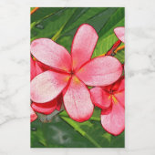 プラメリア フードラベル (シングルラベル)