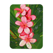 プラメリア マグネット (縦)