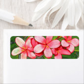 プラメリア ラベル (インサイチュ)