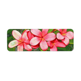 プラメリア ラベル