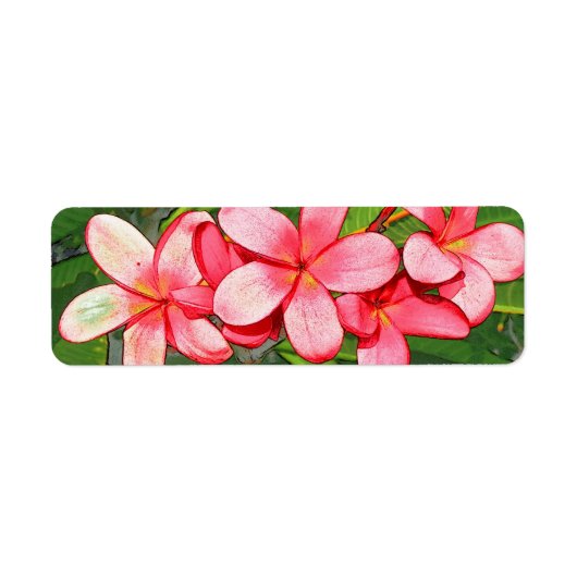 プラメリア ラベル (正面)