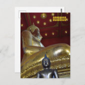 プラモンコンボフィット ポストカード (正面/裏面)