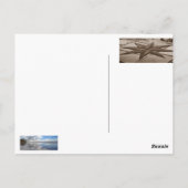 プラヤデカディス ポストカード (裏面)