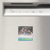 プラヤデルカルメンマグネット マグネット (インサイチュ (食洗機))