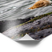 プラヤデルレイ フォトプリント            (角)