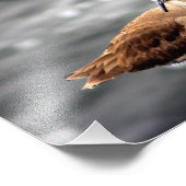 プラヤデルレイ フォトプリント            (角)