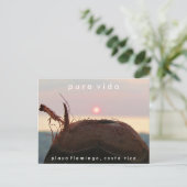 プラヤフラミンゴサンセットココナッツコスタリカ葉書 ポストカード (スタンド正面)