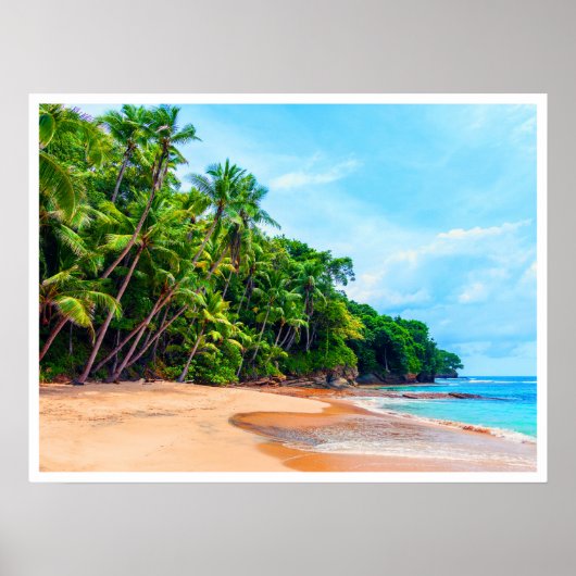 プラヤブランカ ポスター (正面)