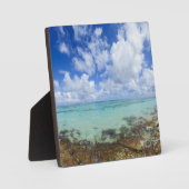 プラヤマグアナ、グアンタナモ、バラコア |キューバ フォトプラーク (正面)