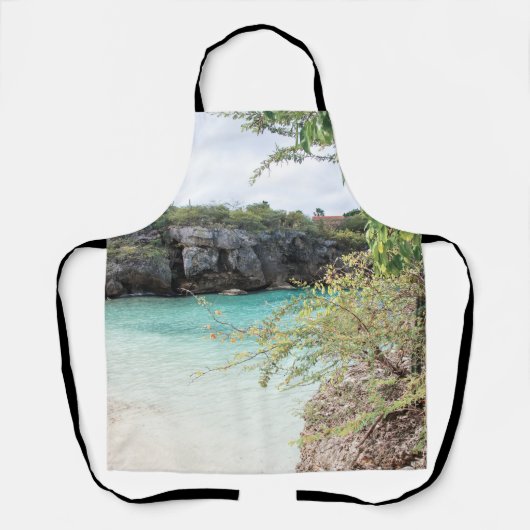 プラヤラグンドリーム1 エプロン (正面)