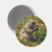 プラワール犬 マグネット (正面/裏面)