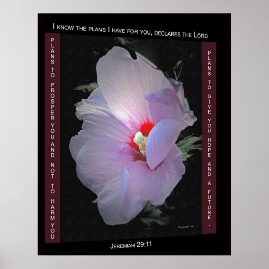 プランのポスター ポスター (正面)