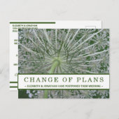 プランの変更アンヌ王妃のレース花はがき ポストカード (正面/裏面)