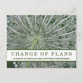 プランの変更アンヌ王妃のレース花はがき ポストカード