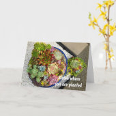 プランター内の多肉類 カード (黄色い花)