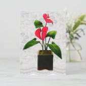 プランター内の赤いアンスリウム 招待状 (スタンド正面)