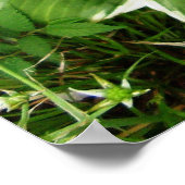 プランテンリリーホスタプラント葉 ポスター (角)