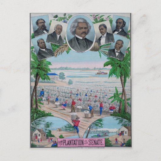 プランテーションから上院へ ポストカード (正面)