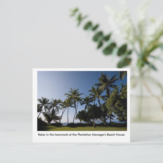 プランテーションマネージャーの家のハンモック ポストカード (スタンド正面)