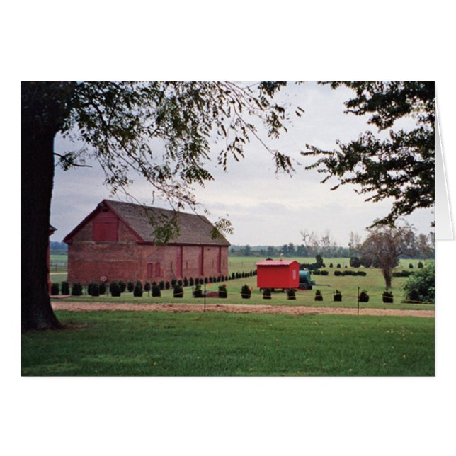 プランテーション草原カード (正面横)