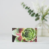 プラントシッター観葉植物の散水 名刺 (スタンド正面)