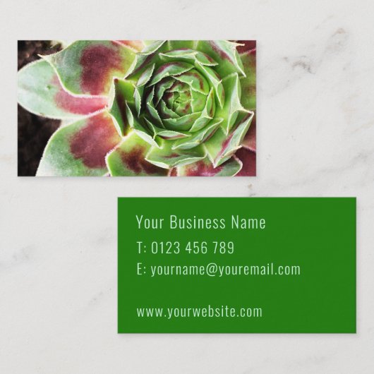 プラントシッター観葉植物の散水 名刺 (正面/裏面)