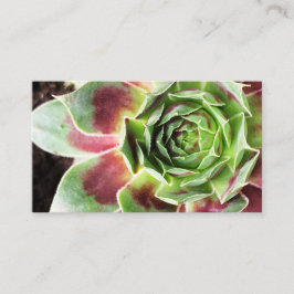 プラントシッター観葉植物の散水 名刺