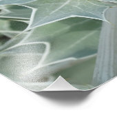 プラントシーサマープロフェッショナルフォト紙（サテン） フォトプリント            (角)