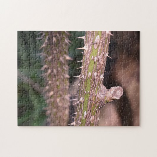 プラントステムソーンズ自然パーク写真 ジグソーパズル (横)