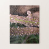 プラントステムソーンズ自然パーク写真 ジグソーパズル (縦)