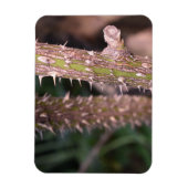 プラントステムソーンズ自然パーク写真 マグネット (縦)