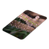 プラントステムソーンズ自然パーク写真 マグネット (左側)